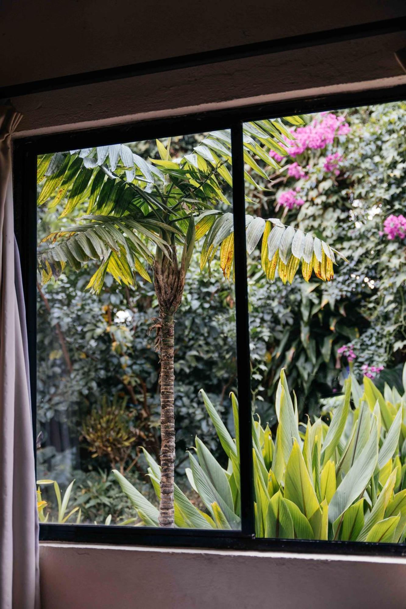 Casa 1800 Ataco Hotel Boutique Concepción de Ataco Dış mekan fotoğraf